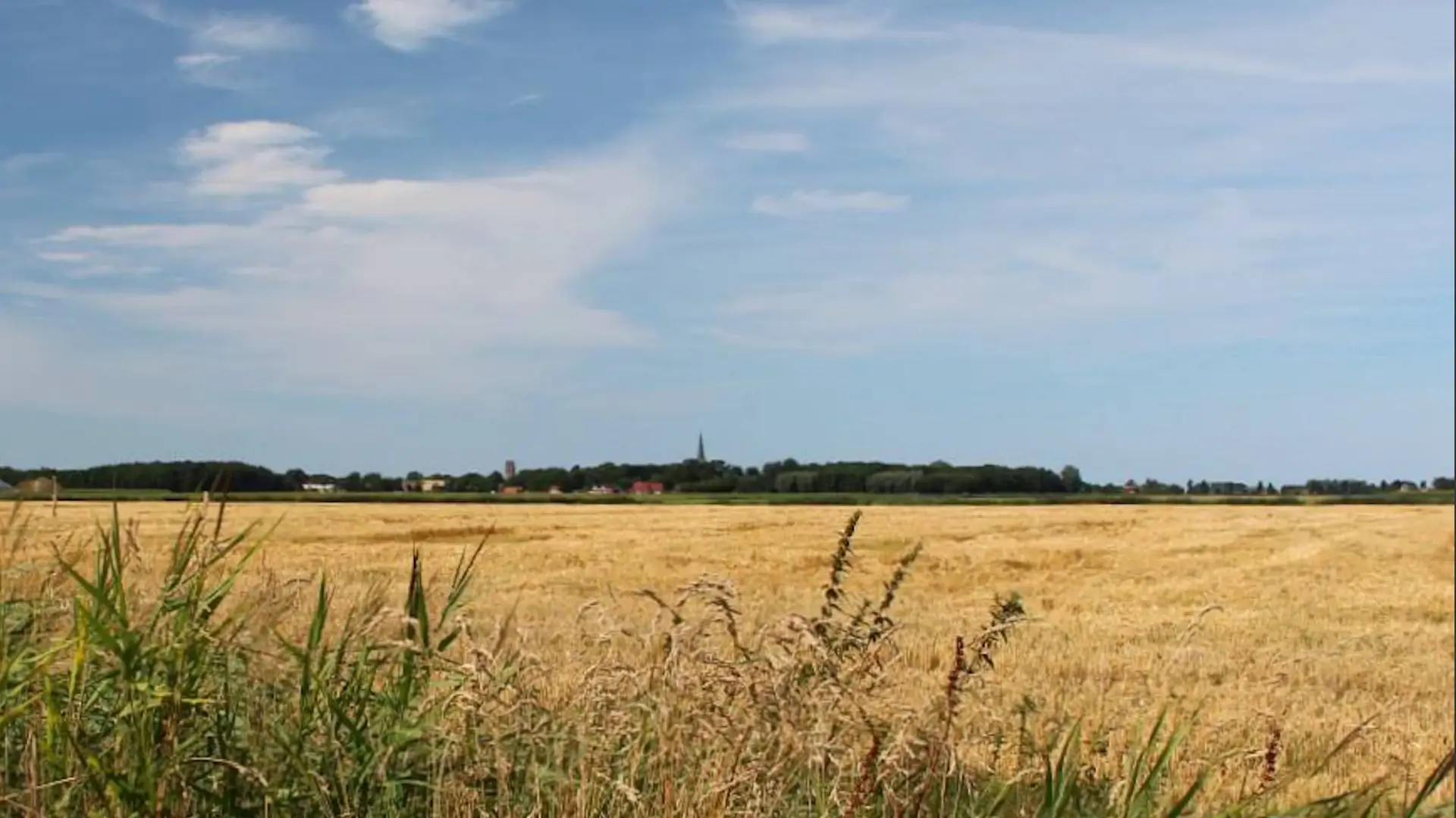 De Horizon - slapen in hutten - Molenrij - Groningen